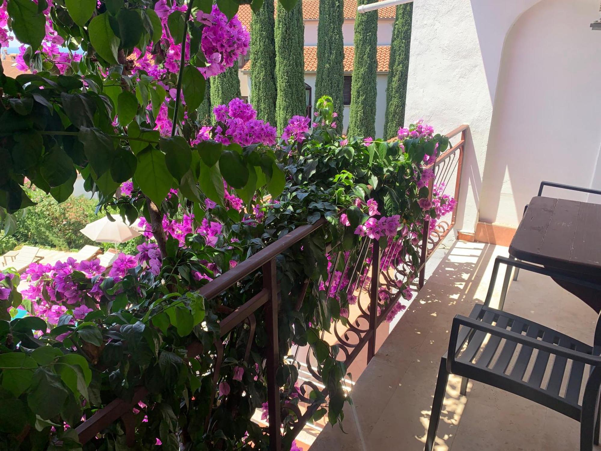 Gargamelo Pension Poreč Exteriör bild